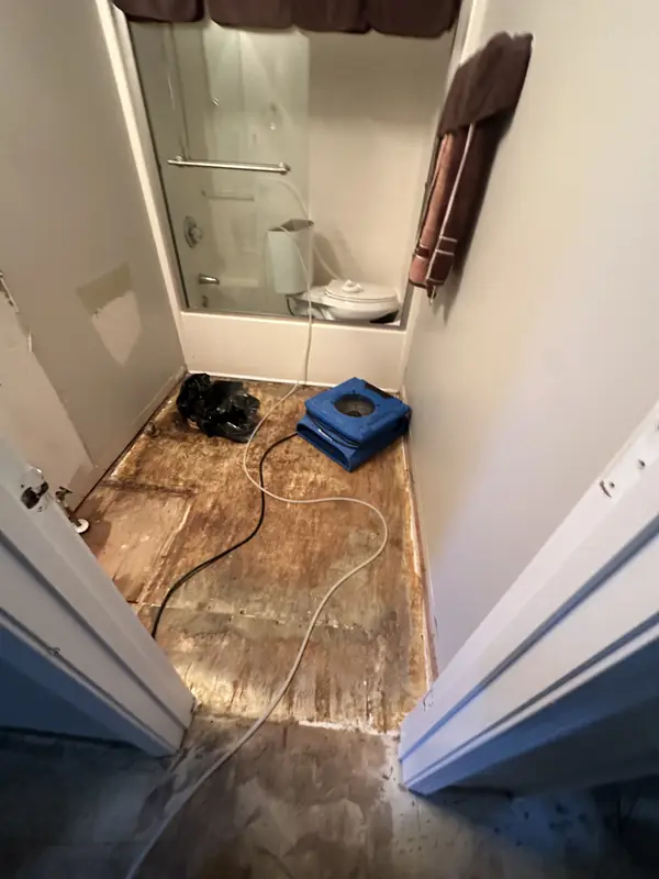 Air movers and cords on exposed bathroom subfloor beside a shower
