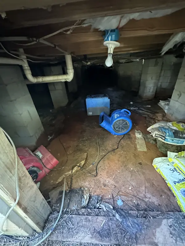 Drying equipment set up in a crawl space beneath exposed floor joists and pipes